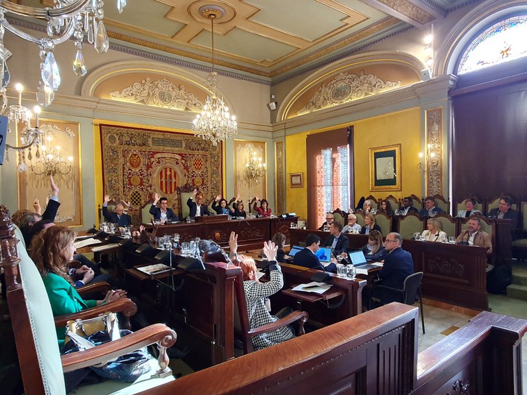 La votació de l'únic punt de l'ordre del dia.