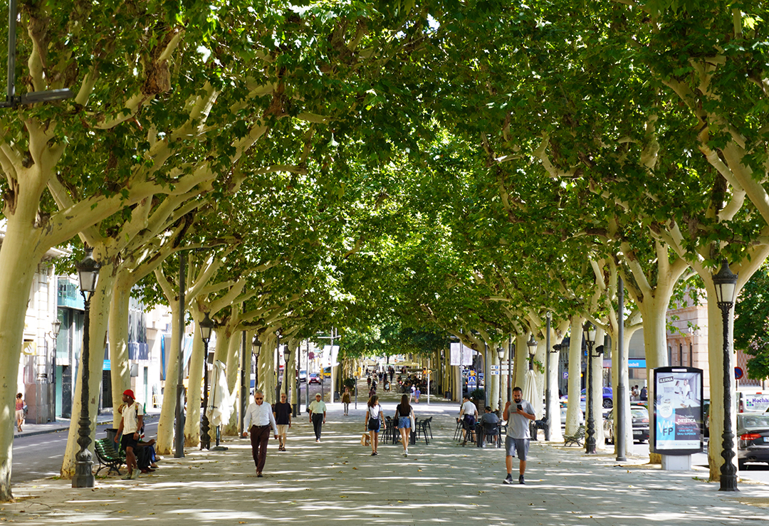 Gent passejant per la Rambla.