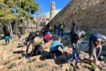 El Turó de la Seu Vella acull una plantació popular en el marc del projecte de renaturalització