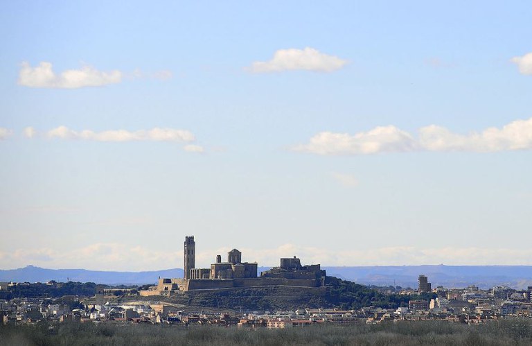 Vista de lluny de la Seu Vella, amb la ciutat per sota.