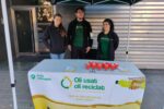 Nous contenidors d’oli usat als mercats municipals de Balàfia i Ronda-Fleming