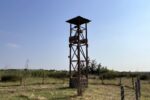 La Paeria projecta renaturalitzar tres basses ubicades en parcs urbans i quatre noves torres de biodiversitat