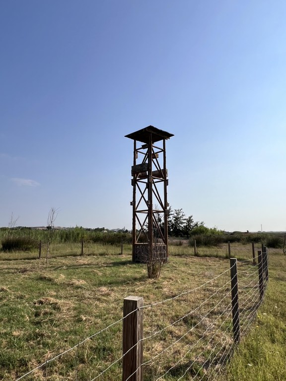 Torre de biodiversitat. Està feta de fusta i té diferents caixes nius per diferents espècies.