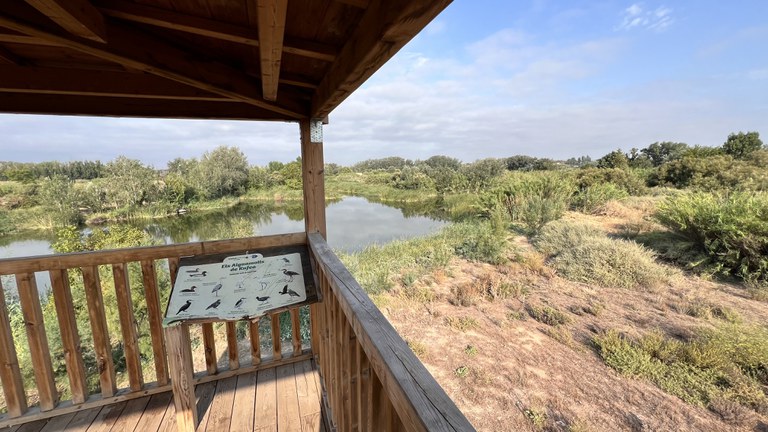 Observatori d'ocells dels Aiguamolls de Rufea.