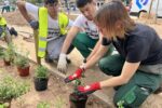 Alumnes de l’Institut Castell dels Templers participen en la plantació de 400 plantes herbàcies a l’avinguda Doctor Fleming