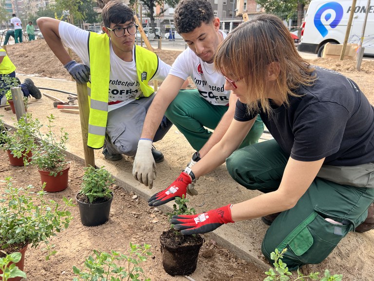 Dos dels joves treballen en la plantació.
