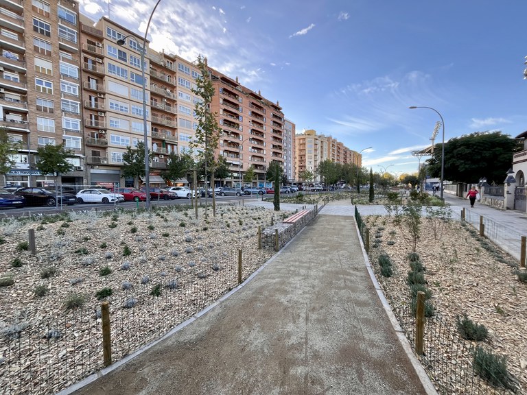 Tram renaturalitzat de l'av. Doctor Fleming.